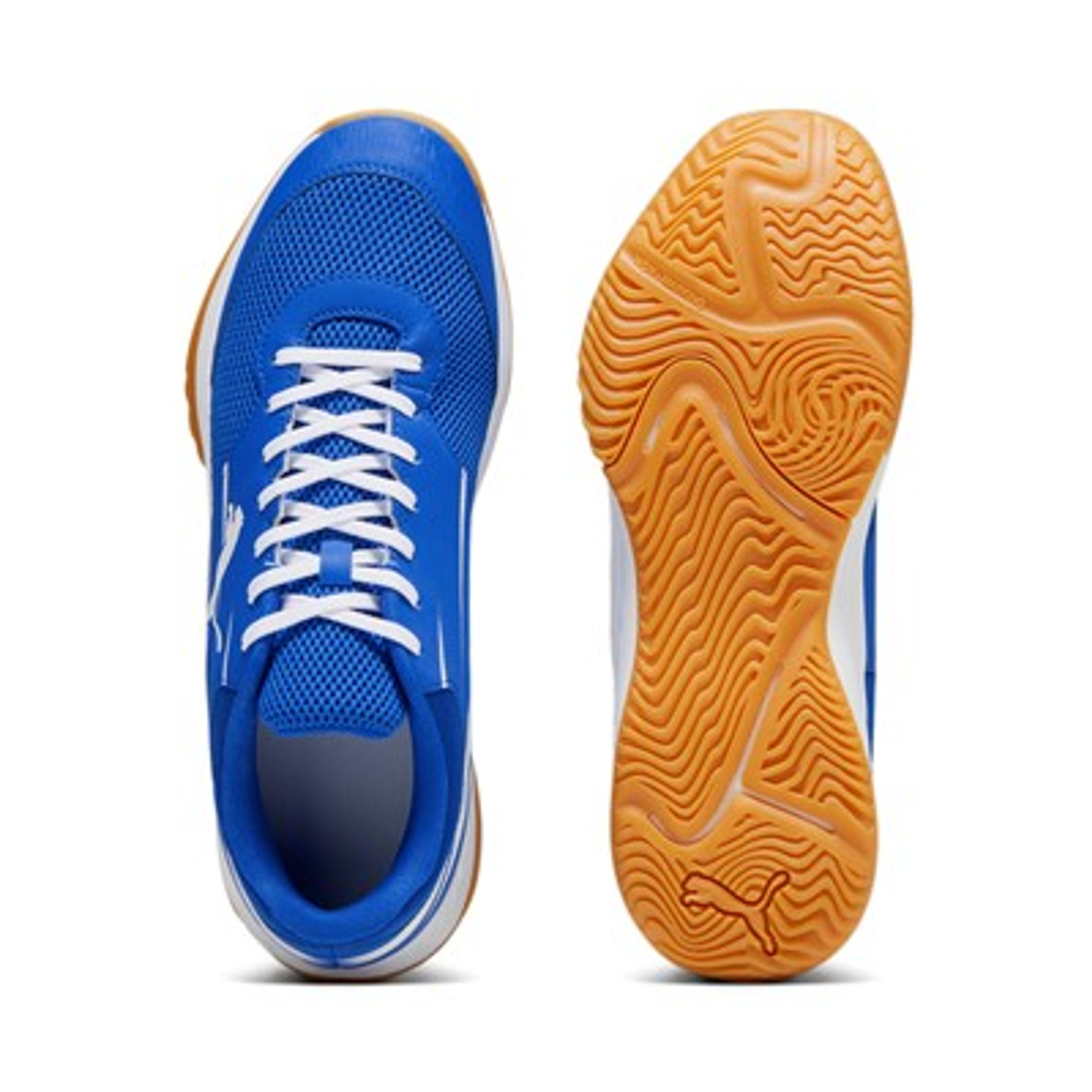 Puma Varion II Team Royal-PUMA White-Gum