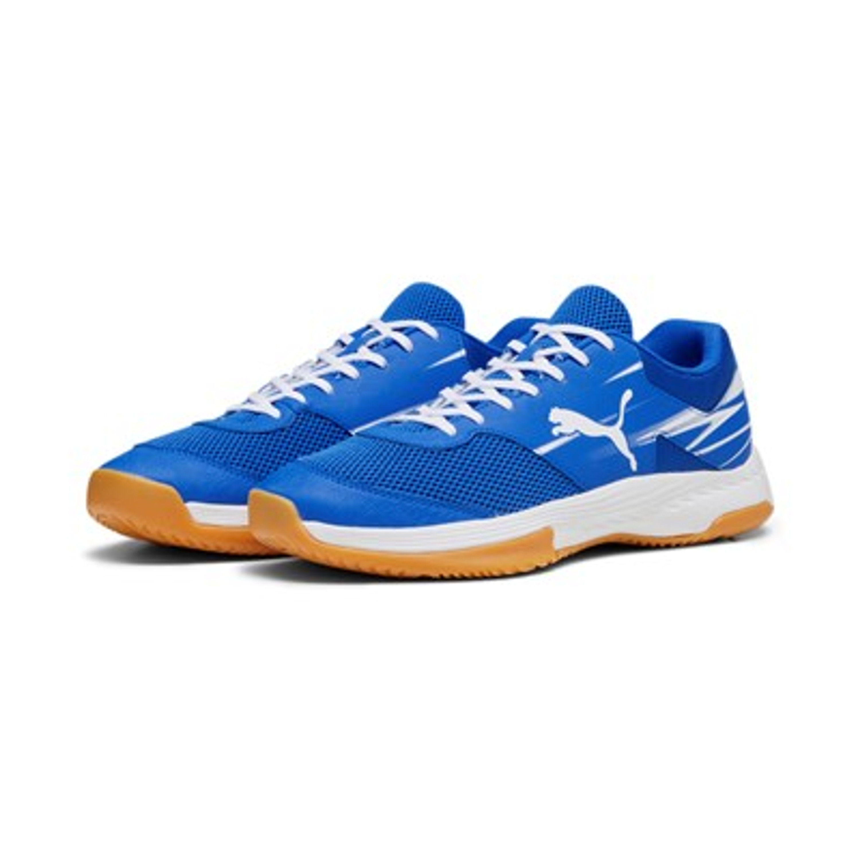 Puma Varion II Team Royal-PUMA White-Gum