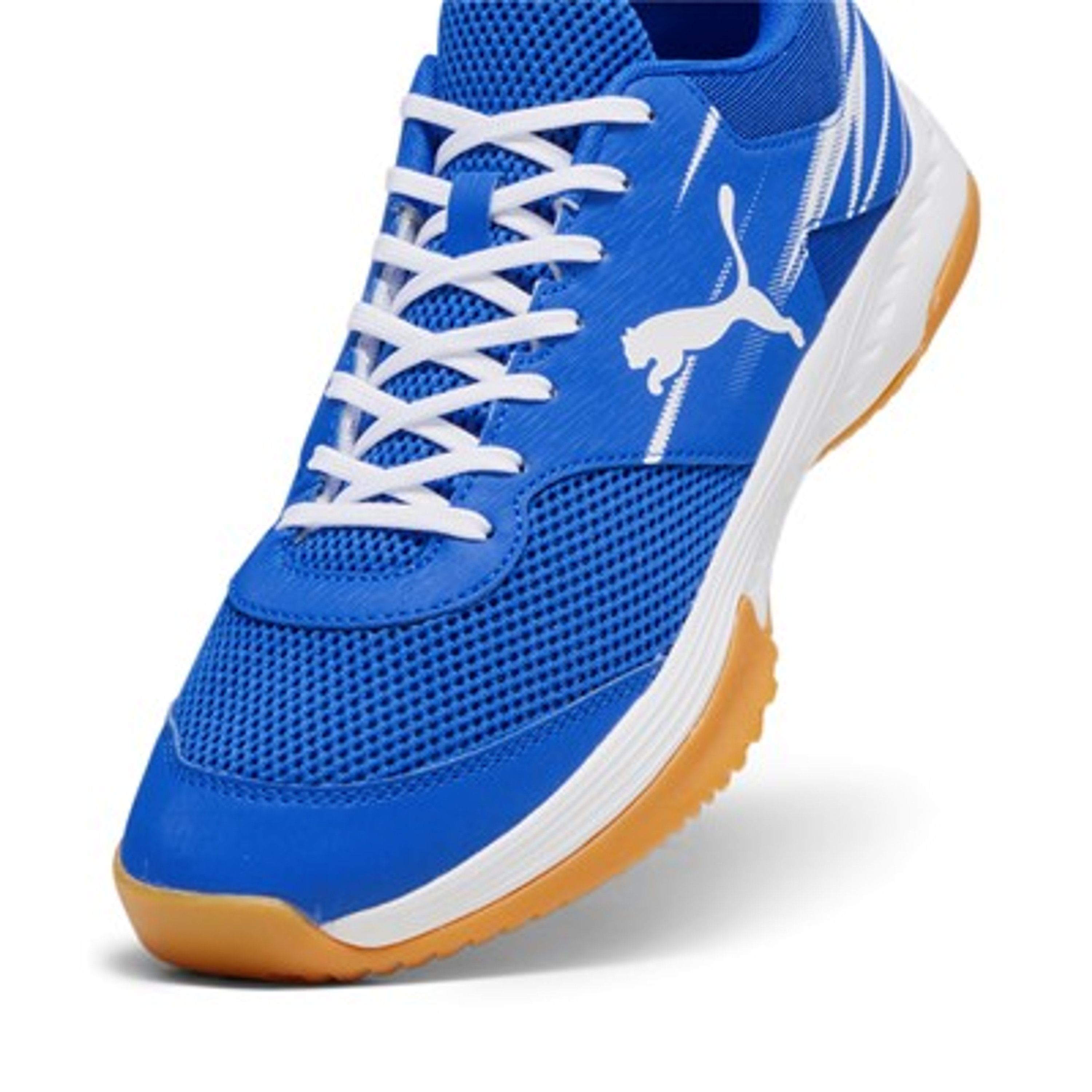 Puma Varion II Team Royal-PUMA White-Gum